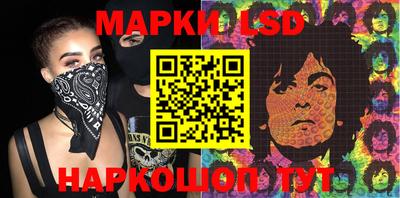 шишки Дмитров