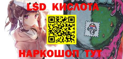 прущие грибы Долгопрудный