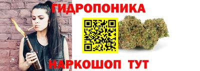 прущие грибы Долгопрудный