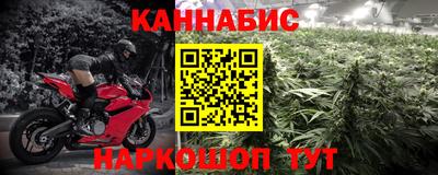 шишки Дмитров